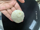 悅味紀(jì) 嵊州老面鮮肉小籠包800g 約30只 手工包子 早餐半成品 速食 曬單實(shí)拍圖