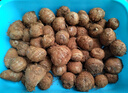 三萌果蔬2025現(xiàn)挖新鮮牛奶芋頭云南高山小芋頭仔小香芋芋粉早餐 5斤甄選果【單果30-50g】凈4.5斤 曬單實拍圖