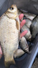 野營(yíng)者29升帶輪防刮釣箱全套新款多功能釣魚(yú)箱魚(yú)桶垂釣保溫臺(tái)釣箱 29L 無(wú)輪單炮臺(tái)【雙軌道標(biāo)準(zhǔn)款+方盒+支架】 曬單實(shí)拍圖