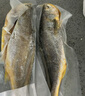 GUO LIAN國聯(lián)三去黃花魚2條共凈重2斤國產(chǎn)寧德東海大黃魚中秋聚餐海鮮食材 曬單實拍圖