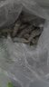 萬(wàn)景 北海鮮凍白蝦 國產(chǎn)白蝦 單凍無(wú)冰凈重4斤 100-120只 燒烤聚餐  曬單實(shí)拍圖