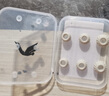SUPER TFZ錦瑟香也 入耳式耳帽泄壓耳塞硅膠套降噪耳機套 TFZ泄壓通透套 曬單實(shí)拍圖