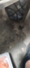 倍思 蘋(píng)果數顯充電線(xiàn) PD20W快充線(xiàn)顯示功率數據線(xiàn) 適用iPhone14/13/12ProMax/11/Xs/XR/8P/iPad 2米黑 曬單實(shí)拍圖