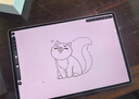 HUAWEI MatePad Pro 12.2英寸 2025 國家補貼 華為平板電腦 2.8K雙層OLED屏 WIFI 12GB+256GB 宣白 曬單實(shí)拍圖