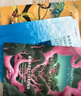 FAN BEAUTY DIARY范冰冰同款面膜組合 海葡萄2片+龍血2片+睡美人2片 補(bǔ)水保濕舒緩 曬單實(shí)拍圖