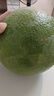 京鮮生 翡翠青柚 紅心柚 1粒裝 單果1.5斤起 中秋生鮮水果 曬單實拍圖