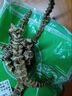 北京同仁堂云南特級(jí)野生蟲草參頂天柱西藏野生特級(jí)地參竹節(jié)參干貨煲湯泡酒 正品野生頂天柱250克新貨上市 曬單實(shí)拍圖