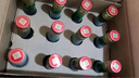 西鳳酒 綠瓶裸瓶省外版 45度 500ml*12瓶 整箱裝 鳳香型白酒 曬單實(shí)拍圖
