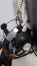 海備思（Hagibis）USB4數(shù)據(jù)線Type-C全功能ctoc兼容雷電4雙頭短線240W快充40Gbps高速傳輸PD3.1適用手機(jī)電腦移動(dòng)硬盤 曬單實(shí)拍圖