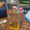 瀘州老窖 特曲晶彩 濃香型白酒 52度500ml*6瓶整箱裝(贈送3個(gè)禮品袋) 曬單實(shí)拍圖