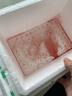 促銷新鮮10斤腱子肉現(xiàn)殺整根前腱后腱低脂健身豬肉非牛肉牛腱子 5斤腱子（送料包） 急速發(fā)貨，順豐包郵 曬單實(shí)拍圖