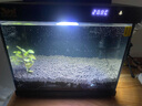 森森金麟超白智能魚缸小型桌面免換水生態(tài)魚缸一體缸自循環(huán) 【森森金麟】LE-300 曬單實拍圖
