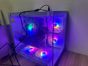 技嘉 酷睿i5 13400F臺(tái)式組裝電腦主機(jī)RTX4060Ti/5060Ti游戲高端電競(jìng)獨(dú)顯直播設(shè)計(jì)渲染整機(jī) 配置一：i5 13400F+RTX4060 曬單實(shí)拍圖