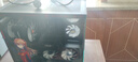 華碩全家桶【24期免息】RTX5070ti/5070/5060Ti顯卡i5 14600KF臺式主機明日香定制mod組裝電腦DIY整機 i5 13400F+華碩RTX5060 配置一 曬單實(shí)拍圖