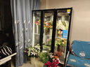 卡帝仕 花店商用鮮花保鮮柜大容量風(fēng)冷鮮花保鮮冰箱鮮花冰柜鮮花冷藏保鮮柜鮮花冷柜展示柜鮮花柜保鮮柜 高端款大三門(mén)【無(wú)需排水三光切換】 曬單實(shí)拍圖