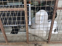 霸天安4G太陽(yáng)能攝像頭 監控室外免插電無(wú)需連wifi終身免流量 監控器360度無(wú)死角帶夜視 全景追蹤手機遠程 曬單實(shí)拍圖