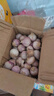 志褚獨頭蒜大蒜頭 2024云南大理紫皮獨蒜 精品新鮮現挖濕蒜 1斤裝【小果2.2-2.5cm】 曬單實(shí)拍圖