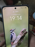 榮耀300Pro/300【24期免息】5G 超級快充 單反級雅顧人像榮耀綠洲護眼屏第三代驍龍8 AI學(xué)生拍照手機 茶卡青 16GB+512GB【300】 官方標配【贈2年店鋪延保+90天碎屏?！?曬單實(shí)拍圖