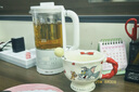 小熊（Bear）迷你養(yǎng)生杯養(yǎng)生壺煮茶器 316不銹鋼辦公室家用便攜煮茶壺恒溫燒水壺小型花茶壺0.6升YSH-E06H1 曬單實拍圖