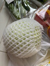 圓白菜約1kg 曬單實(shí)拍圖