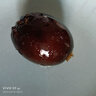 神丹松花皮蛋20枚 單枚45g+  嘗鮮裝 無(wú)鉛工藝鴨皮蛋  源頭直發(fā)包郵 曬單實(shí)拍圖