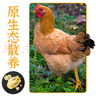 崠鮮 農家散養土雞 三黃雞 新鮮整只走地雞柴雞 雞肉生鮮 發(fā)2只 凈重2斤/只 曬單實(shí)拍圖