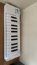 ARTURIA MicroLab MK3 便攜MIDI鍵盤(pán)25鍵迷笛控制器音樂(lè )作編曲制作 新款便攜 25鍵MicroLab MK3 白色 官方授權 贈正版音色庫 曬單實(shí)拍圖