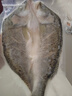 釣魚(yú)記開(kāi)背海鱸魚(yú)1斤-1.3斤 三去凈重 冷凍生鮮 魚(yú)類(lèi) 海鮮水產(chǎn) 中秋聚餐 曬單實(shí)拍圖