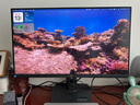 華碩ROG XG32UCG 32英寸顯示器4K電競顯示器4K 160Hz雙模1K 320Hz HDR400 HDMI2.1 0.3ms響應G-sync 曬單實(shí)拍圖