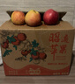 云南高原早熟紅露蘋(píng)果新鮮高山當季水果冰糖心脆甜多汁果園直發(fā) 云南脆甜紅露蘋(píng)果（中大果100g+） 含箱5斤【多日鮮享】 曬單實(shí)拍圖