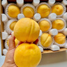 京鮮生山東蒙陰錦繡黃毛桃 凈重4.5裝單果150g+ 新鮮水果 源頭直發(fā)包郵 曬單實(shí)拍圖