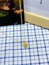 中國黃金（CHINA GOLD）黃金項鏈女士足金吉言金蘋果吊墜生日圣誕節(jié)禮物送女友老婆媽媽 吊墜約0.5g*配銀鏈【甄選禮盒】 曬單實拍圖