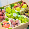 佳沛（zespri）新西蘭  陽(yáng)光金果25-27粒原箱單果122-146g  中秋水果禮盒 獼猴桃 曬單實(shí)拍圖