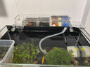 寵小帥魚(yú)缸過(guò)濾器三合一壁掛式水族箱增氧過(guò)濾增氧盒生態(tài)造景循環(huán)凈水器 【四格】過(guò)濾倉(cāng) (適用40-50cm魚(yú)缸) 曬單實(shí)拍圖