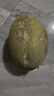 曉蜜25號爆甜哈密瓜新鮮現摘應季水果西州蜜 中小果（≥500g）5斤凈重2250g 曬單實(shí)拍圖