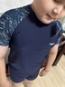 小豬托尼男童泳衣套裝兒童泳衣分體胖童游泳衣男孩青少年泳衣6-15歲大童 曬單實(shí)拍圖