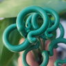 綠園匠植物防倒伏支撐桿玻纖爬藤架固定盆栽花卉護花葉花支架58厘米10支 曬單實(shí)拍圖