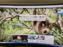 聯(lián)想（Lenovo）拯救者27英寸 2K曲面 原生180Hz  護眼高色域  音箱  升降旋轉 暗區突圍電競游戲顯示器 R27qc-30 曬單實(shí)拍圖