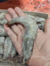 賣(mài)魚(yú)郎先生青島鹽凍大蝦凈重3.6斤 20-25只/斤 白蝦基圍蝦生鮮 蝦類(lèi) 曬單實(shí)拍圖