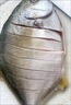 翔泰 海南大規(guī)格金鯧魚(yú)550g1條 海魚(yú) 生鮮魚(yú)類(lèi) 火鍋 海鮮水產(chǎn) 曬單實(shí)拍圖