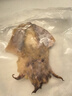 傾海之宴 淡曬墨魚(yú)干S3 450g 淡曬目魚(yú)干烏賊干 海鮮特產(chǎn)海產(chǎn)品干貨 曬單實(shí)拍圖