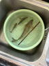 熊火溪流小物釣魚(yú)竿超短節微物手桿便攜全套野釣白條鳑鲏袖珍迷你魚(yú)竿 1.8m37調仙蹤綠【小物竿】套裝 曬單實(shí)拍圖