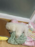 耐吉斯鮮肉Pro夾心狗糧凍干生骨肉1.5kg成犬幼犬鴨肉梨淚痕管理3斤 曬單實(shí)拍圖