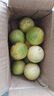 廣西欽蜜9號(hào)黃金百香果萬澄當(dāng)季新鮮大果黃皮果奶茶店水果 【1斤 約11-17個(gè)】單果30-45g 曬單實(shí)拍圖
