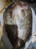 黃小漁三去海鱸魚2斤/2條 開背鱸魚 生鮮 魚類 海鮮水產(chǎn)夜宵燒烤食材 曬單實拍圖