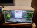 喜高超白玻璃魚(yú)缸智能魚(yú)缸免換水小型客廳水族箱一體式過(guò)濾氧氣魚(yú)缸 白-魚(yú)缸+造景+加熱棒 485*225*283mm 曬單實(shí)拍圖
