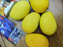 顧果鮮海南小臺芒9斤新鮮應季當季熱帶時(shí)令水果小臺農芒果整箱甜心芒 9斤凈重8.5斤 【中果】 曬單實(shí)拍圖