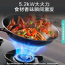 華帝（VATTI）燃氣灶【省氣大師】國家補貼20%灶具天然氣小飛翼小飛碟Max嵌入式臺式兩用雙灶5.2kW猛火一級能效 【高熱效+聯(lián)動】i10309L 天然氣5.2kW 曬單實拍圖