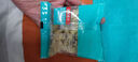 核桃鮮風去皮鮮核桃仁獨立小包裝【25包】450g 源頭直發(fā) 曬單實拍圖