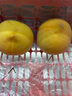 京覓黃桃水果蒙陰桃子新鮮黃金蜜桃 凈重4.5斤 單果120g起 源頭直發(fā) 曬單實(shí)拍圖